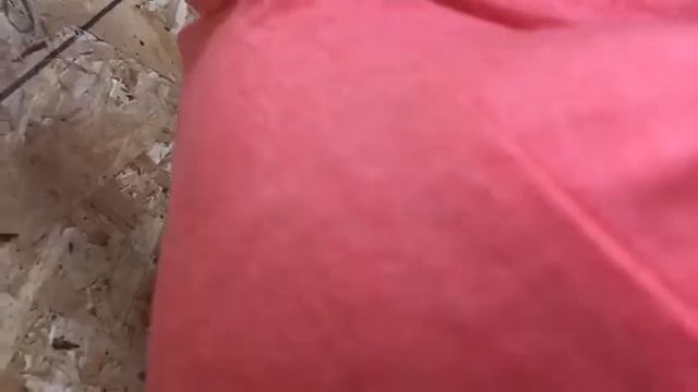 Комиссия по ЖКХ застряла в лифте. смотреть онлайн