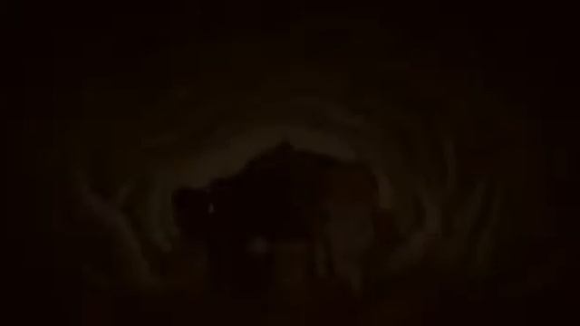 Коты Воители Остролистая Беспощадная сука, стерва (заказ с канала Moon Fox KB) смотреть онлайн