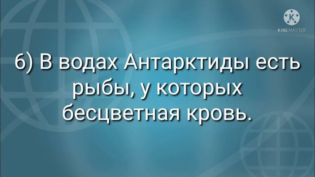 ФАКТЫ ПРО ЖИВОТНЫХ!//ФАКТЫ 5 ЧАСТЬ// ЧУФЫ БРИК смотреть онлайн