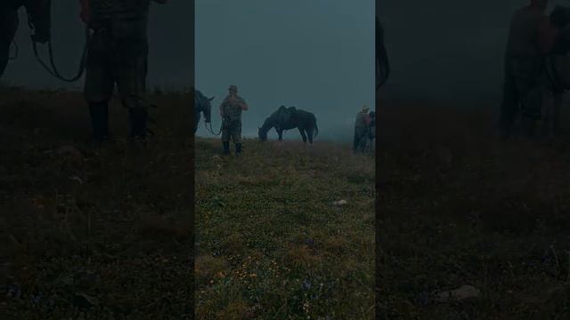 Конный клуб Хадыженск. Забытые тропы Хадыженской турбазы Светлячок. смотреть онлайн