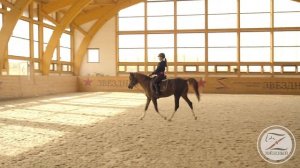 Детская езда. Подготовка к первым соревнованиям по выездке. Разбираем ошибки.