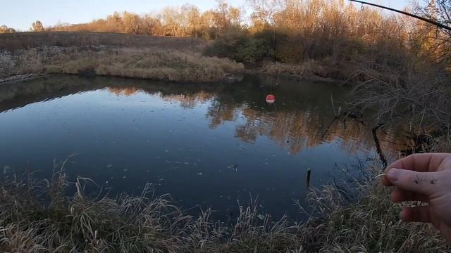HIDDEN SPILLWAY FISHING..we found the MOTHERLOAD!! (Fish I.D Help!?) смотреть онлайн