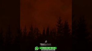 Коран Сура 88 «Покрывающее», аяты 1-7.
Чтец: Ахмад Риджал