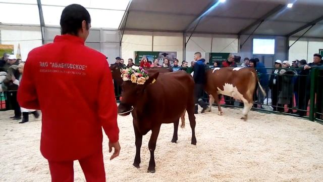 О красной горбатовской породе. смотреть онлайн