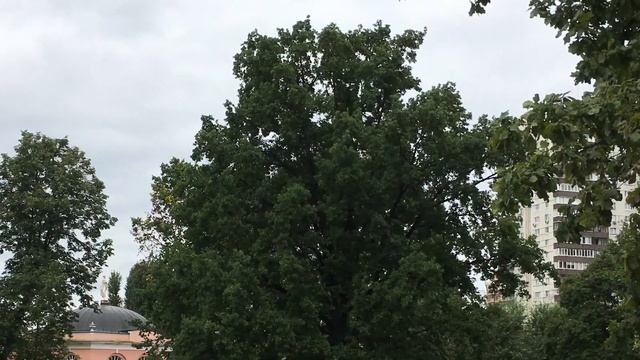 Воронцовский парк в Москве. Усадьба Воронцово. смотреть онлайн