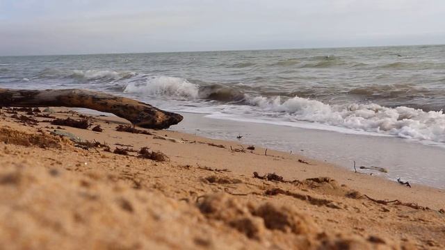 Звуки моря смотреть онлайн