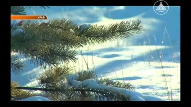 Запрещена рыбалка на озере Алексеевском ?! смотреть онлайн