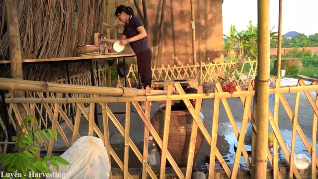 Harvest Purple Mango Tree, Make Mango Salad With Carrots Go to the market sell | Luyến - Harvesting смотреть онлайн