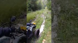 Ну что способен квадроцикл по грязи 125 кубов