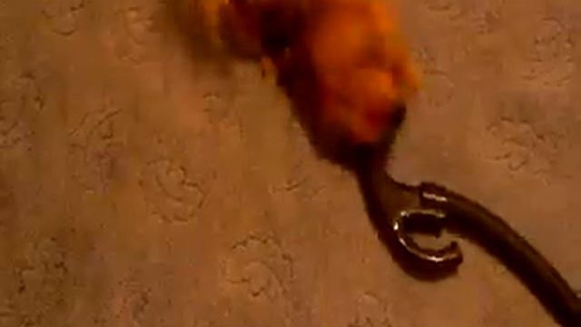 Пекинес Петя и пылесос)).mp4 смотреть онлайн