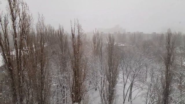 01.03.2022 В ВОРОНЕЖ ПРИШЛА ВЕСНА смотреть онлайн