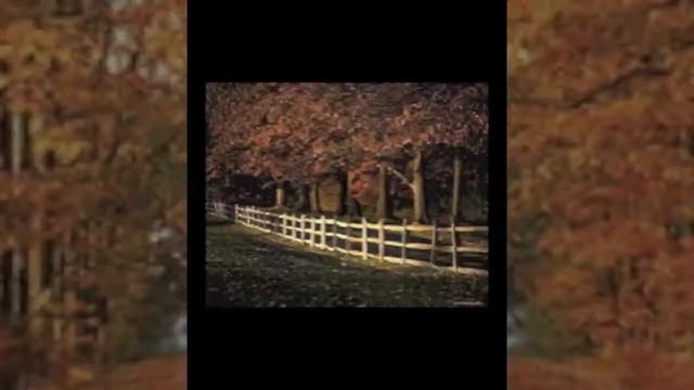 Читаем Пушкина 4 смотреть онлайн