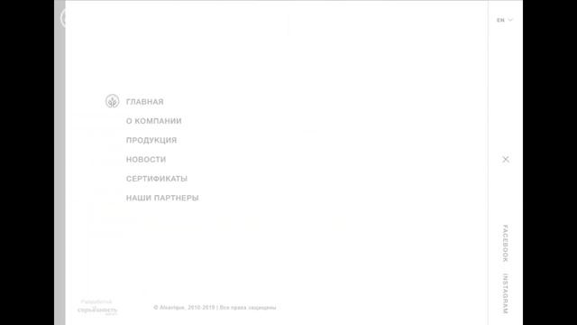 Corporate Website on Wordpress смотреть онлайн