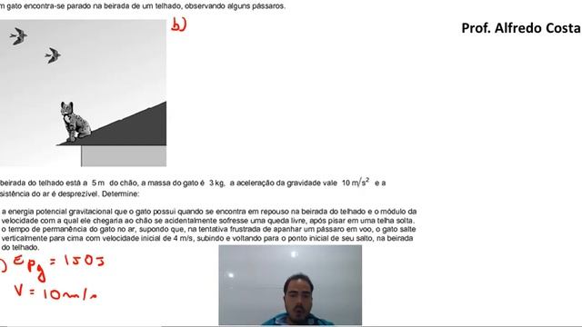 Unifesp 2021 um gato encontra se parado Questão de energia e MUV смотреть онлайн