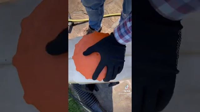 Обработка плодового сада от плодовой гнили яблони, груши персика, абрикоса и тд! смотреть онлайн