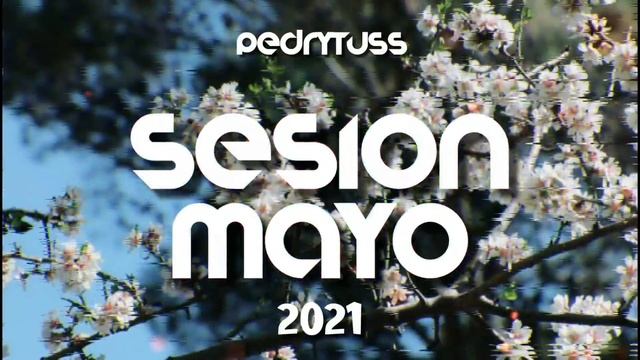 Sesión MAYO 2021 Pedro Fernández (Reggaeton, Comercial, Trap, Flamenco, Dembow) смотреть онлайн