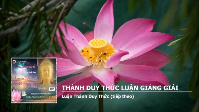 [PHẦN 3/36] "LUẬN THÀNH DUY THỨC TT": THÀNH DUY THỨC LUẬN GIẢNG GIẢI - TAM TẠNG PS HUYỀN TRANG. смотреть онлайн