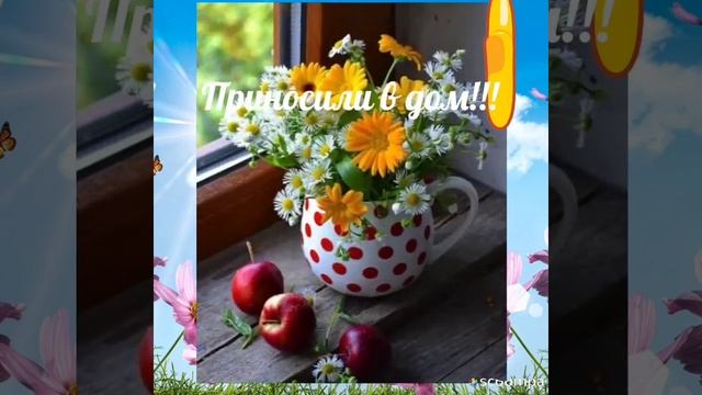 С Добрым Утром, дорогие друзья!!!! С Добрым Утром!!! Видео обязательно порадует Вас!!!