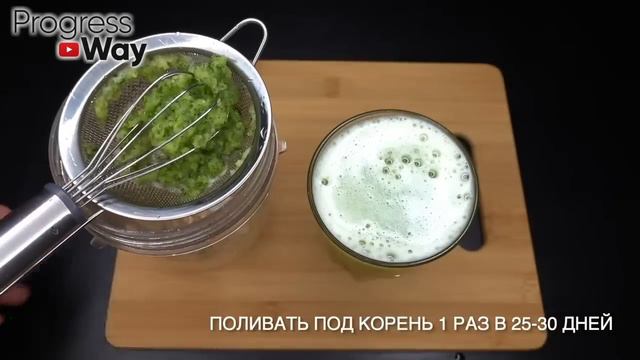 Зацвел сразу! 1 ложка под любой домашний цветок и пышное цветение вам обеспечено! +10 Рецептов смотреть онлайн