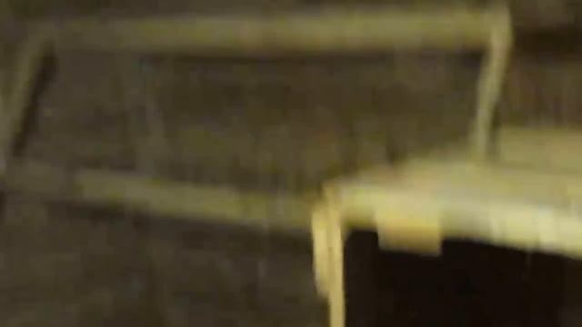 лиса застукали в курятнике... смотреть онлайн