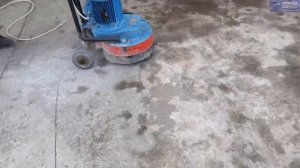 Мозаично шлифовальная машина СО 313. 1 на 220 В. Испытание с алмазными сегментами.