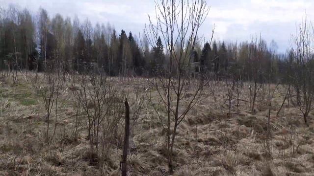 грибные места смотреть онлайн