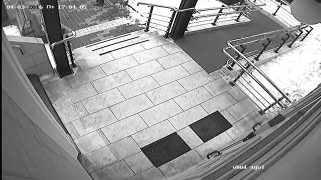 Пример изображения с аналоговой черно-белой видеокамеры смотреть онлайн