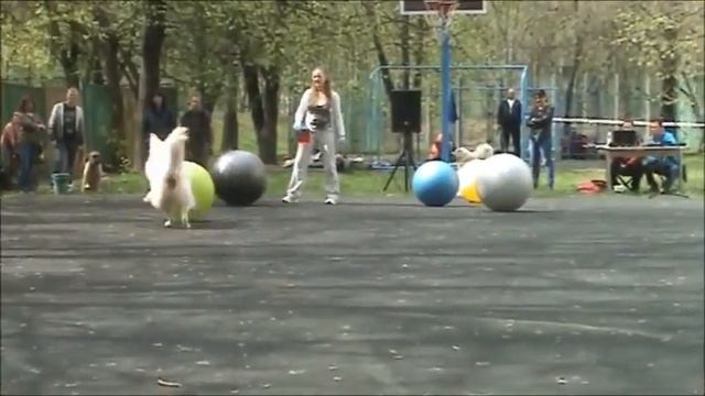 Светлана и Космос в гостях у детей смотреть онлайн