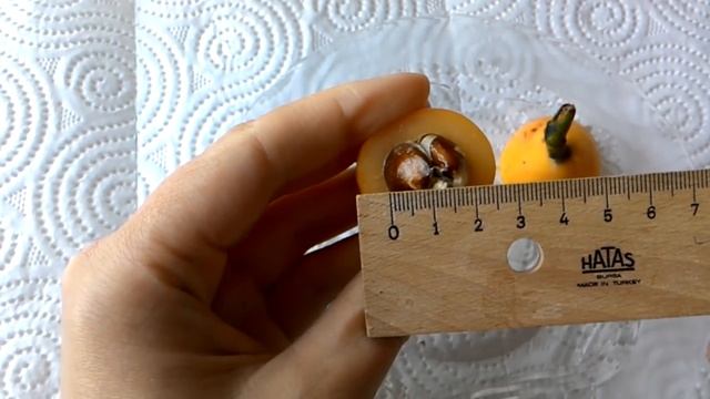 ВЛОГ. Турция. Ени дуня. Мушмула. смотреть онлайн