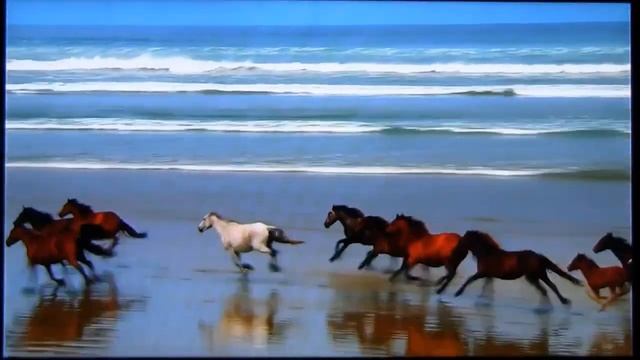 Xtreamer Vs Asus O!play Hd2