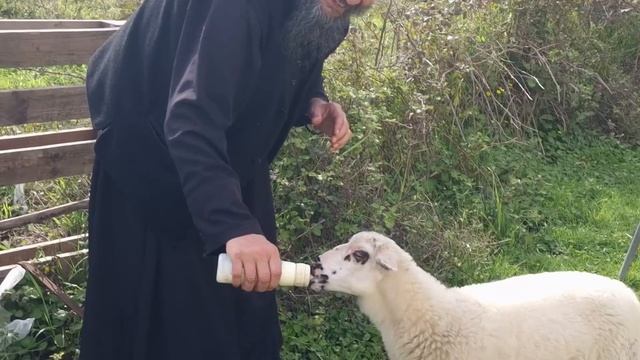 Как вымолить своих детей. смотреть онлайн