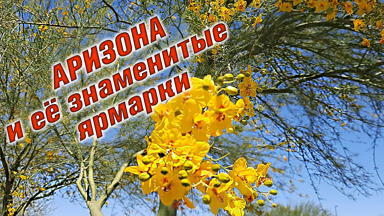 Тусон и его ярмарки натурального камня. Аризона.TUCSON GEM AND MINERAL SHOW смотреть онлайн