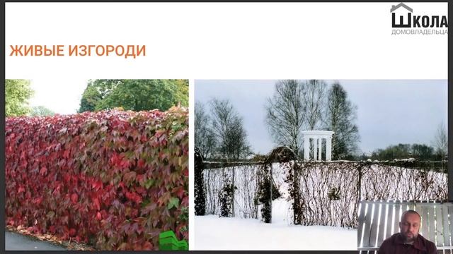 Когда и какой забор устанавливать на участке. Прямой эфир смотреть онлайн