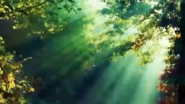 Meditación Para Alcanzar Tus Metas - 28 Días.