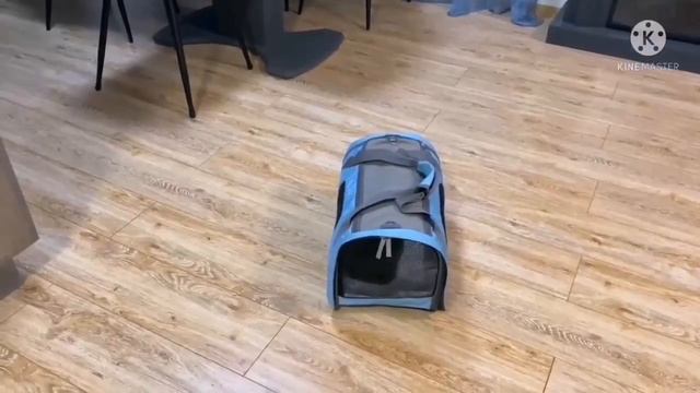 Большие смотрины! Кому выпадет жребий уехать в семью? смотреть онлайн