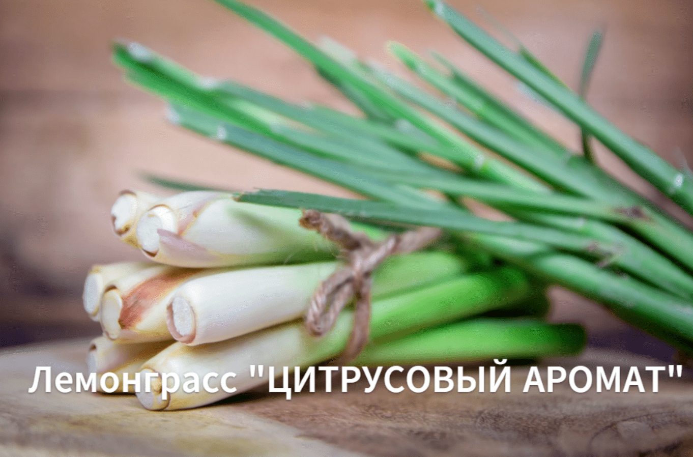 Лемонграсс "Цитрусовый аромат". Как его сажать и вырастить из семян. смотреть онлайн