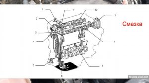 Обзор двигателя Toyota - 3ZR-FAE