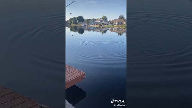 красивая морская рыбалка| Супер легкая рыбалка на красивую дикую рыбу | рыбалка в дикой местности смотреть онлайн