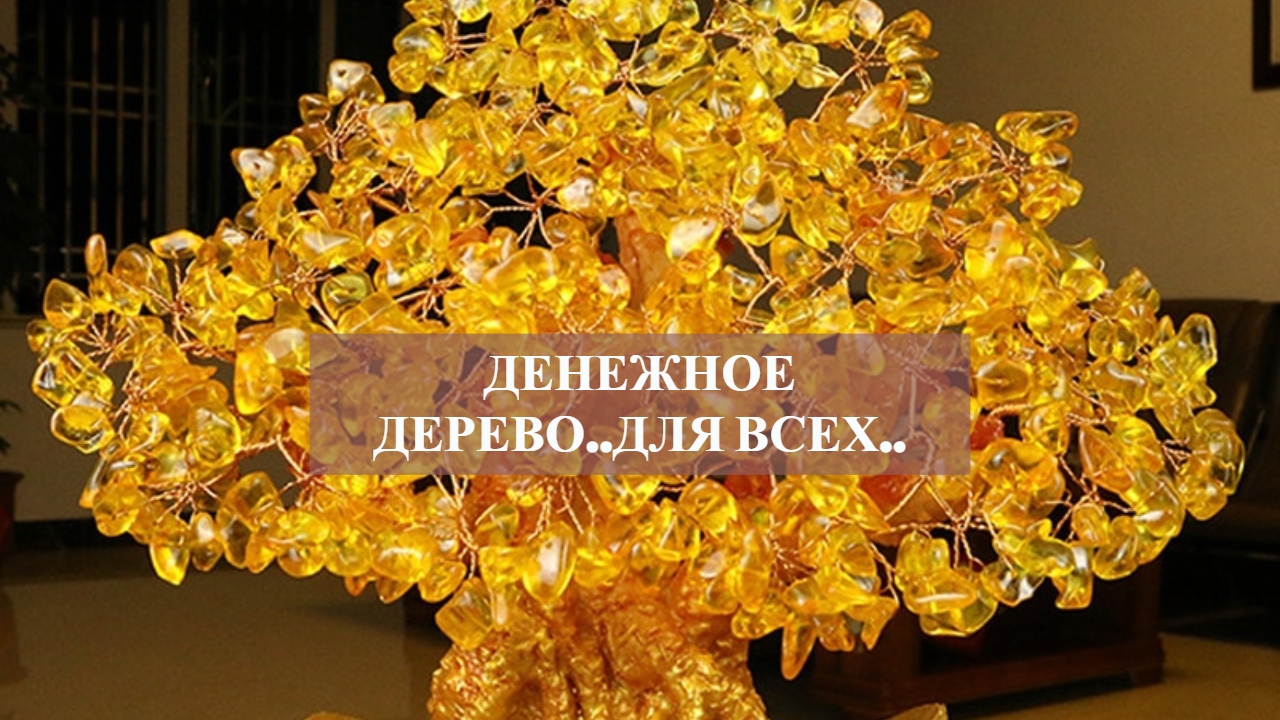 ДЕНЕЖНОЕ ДЕРЕВО.для всех.mp4 смотреть онлайн