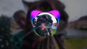 гимн квадроберов