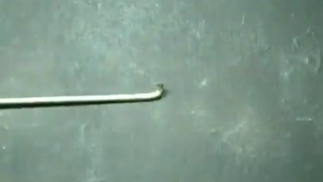 Мастерская Pit_Stop_достаём сальник.mp4 смотреть онлайн