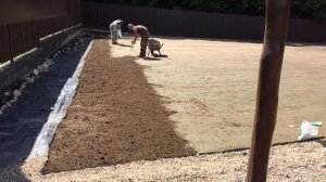 Сею Газон своими руками