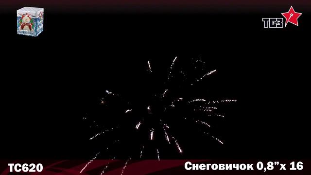 ТС620 Снеговичок 0,8х16 смотреть онлайн