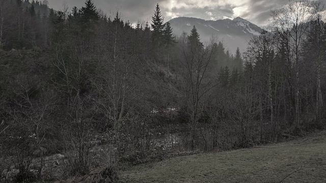 Sveti Melodije - Country Roads DNB смотреть онлайн