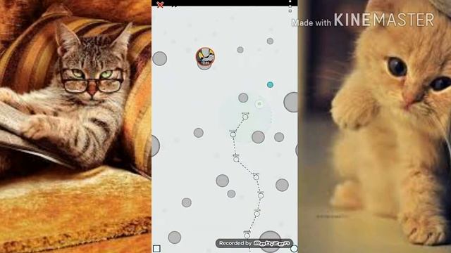 Прохождение Achikaps #3 смотреть онлайн