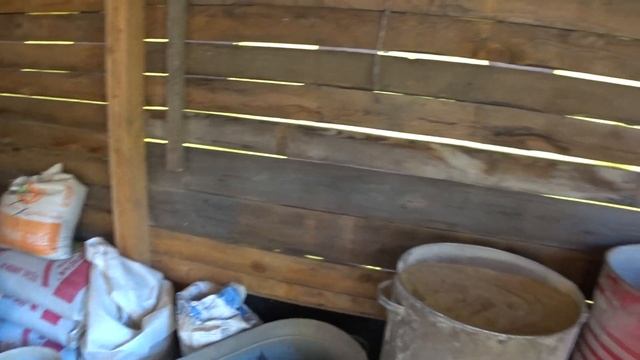 Комбикорм для свиней. Эксперимент начался!