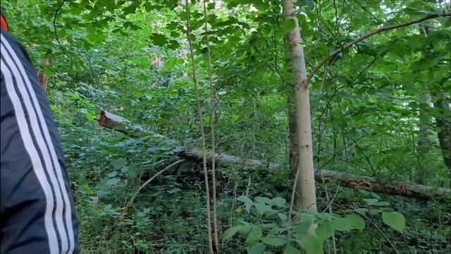 Рыбалка на реке Оредеж. Ищем место для стоянки. смотреть онлайн