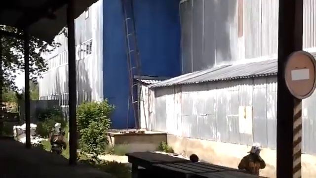 В Нижегородской области сварщики устроили пожар на крыше магазина смотреть онлайн