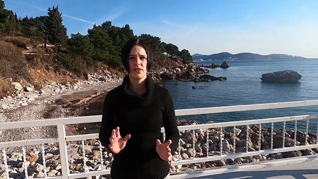 Learning new commands with the xolo dog in Montenegro. How to train a xolo? смотреть онлайн