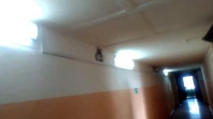 Обзор всех звонков громкого боя